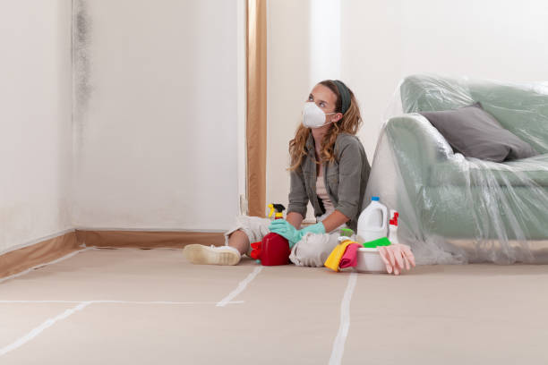 Reliable Mold Remediation contractor in Lewisville, NC by WQB Mold Removal